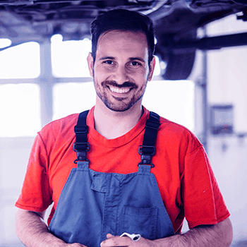 aayush Estate Rabbit